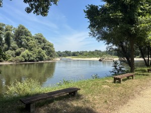 img_4746.jpeg