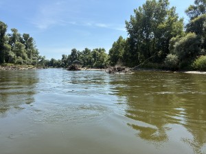 img_4775.jpeg