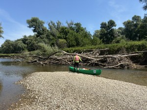 img_4734.jpeg