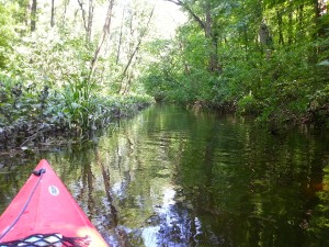 20130614_145831.jpg