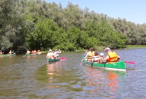 20180422_drau-13.jpg
