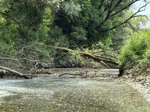 img_4993.jpeg