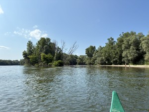 img_5104.jpeg