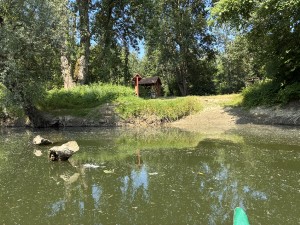 img_5107.jpeg