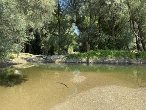 img_5088.jpeg
