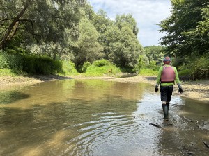 img_5018.jpeg