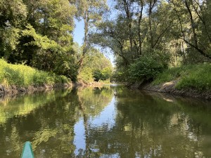 img_5100.jpeg