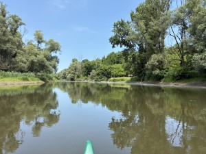 img_4969.jpeg