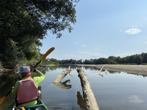 drava-vizitura-20250627.jpeg