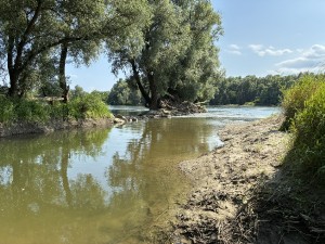 img_5089.jpeg