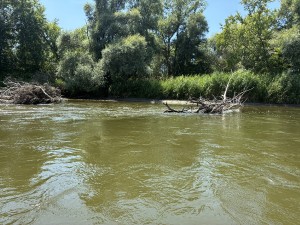 img_4778.jpeg
