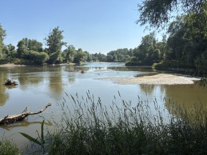 img_4885.jpeg