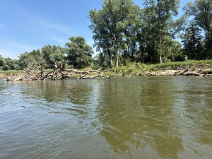 img_4872.jpeg