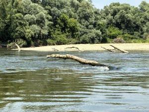 img_4814.jpeg