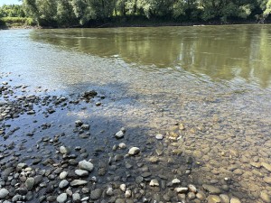 img_4649.jpeg
