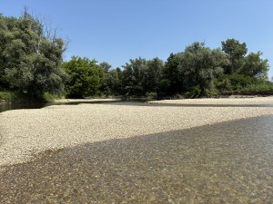 img_5029.jpeg