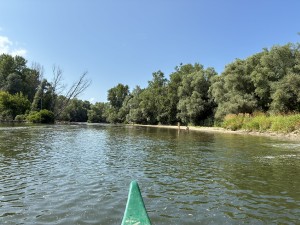 img_5105.jpeg