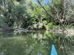 img_5095.jpeg