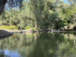 img_5092.jpeg
