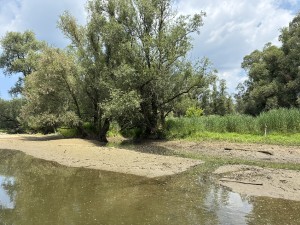 img_4943.jpeg