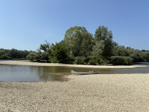img_5040.jpeg