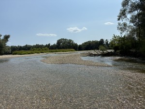 img_5030.jpeg