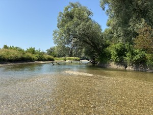 img_5070.jpeg