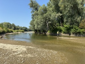 img_5072.jpeg