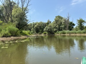 img_4998.jpeg