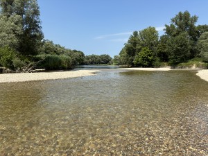 img_5043.jpeg