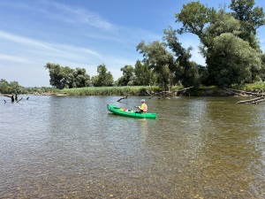 img_4709.jpeg