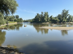 img_4890.jpeg