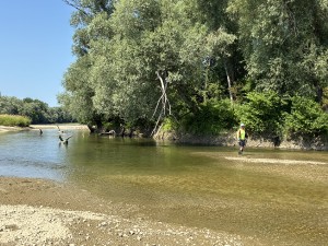 img_5074.jpeg