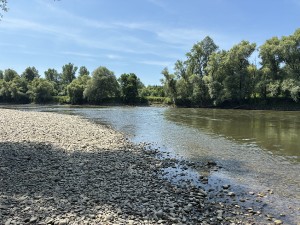 img_4647.jpeg