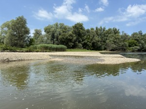 img_4947.jpeg