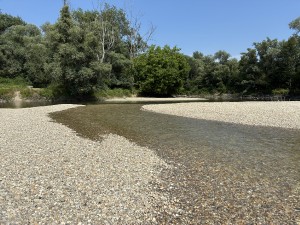 img_5033.jpeg