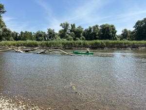 img_4697.jpeg