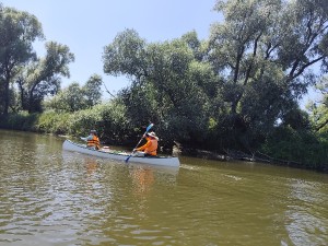 img_20260719_141552.jpg