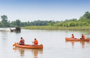 drava-kenutura-20110810-14313333.jpg